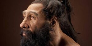 ¿Qué tan inteligentes eran los neandertales?