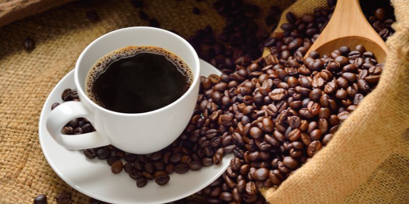 ¿Sabías que el café más caro del mundo se hace del excremento animal?